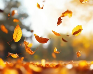 Crisp autumn day with leaves swirling in the wind, cool weather, fall colors