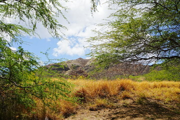 Obraz premium View of Honolulu Hawaii from the Summit of Diamond Head Crater in USA - アメリカ ダイヤモンドヘッド頂上からのホノルル ビーチの風景