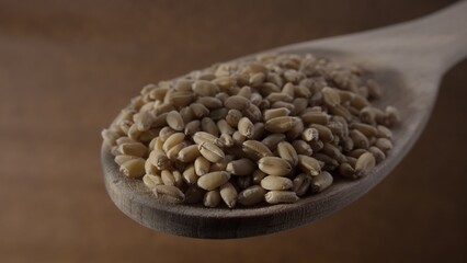 A detailed close-up of a wooden spoon filled with raw wheat grains, emphasizing their natural texture. The warm, earthy tones create a rustic and wholesome atmosphere.