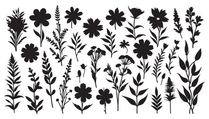 Flowers Black silhouettes of flowers isolated on a white background vector illustration black and white art design