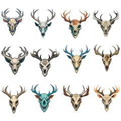 Deer skull vector illustration