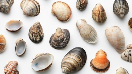 A mix of different shellfish in eco-friendly packaging, displayed on a seamless white background, focusing on variety and sustainability.