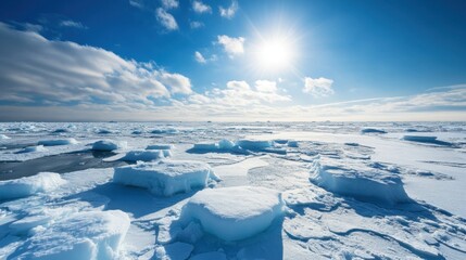 Vast white landscape of Arctic ice floes and fractured sea ice under a bright blue sky, symbolizing polar climate change.