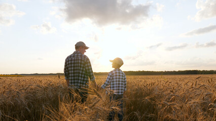 A silhouette of a male farmer in a plaid shirt holding his son hand. Father and son farmers...