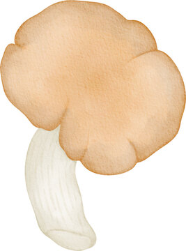 recommend clip art: watercolor oyster mushroom