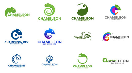 Set of chameleon logo design vector illustration