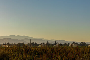 Rural Landscape in California. Countryside of USA