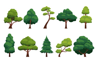 Collection of tree isolated on a white background. Each species of trees. A tree with green leaves. Nature or healthy lifestyle topics. Vector illustration flat design style