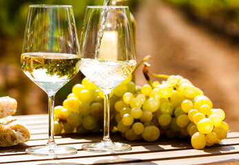 Glass of White wine ripe grapes and bread on table in vineyard