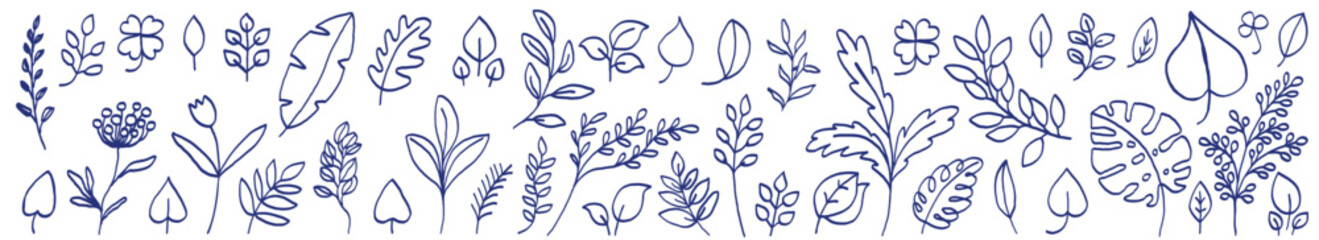 Leaves and flowers sketch collection. Hand drawn vector illustration set. Blue pen or marker leaf drawing. Primitive kids picture