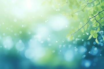 Fototapeta premium Bokeh Green and blue nature background green backgrounds sunlight.