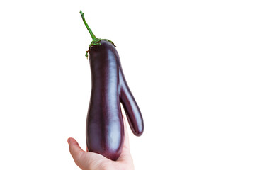 Wonky Hand-Held Eggplant with Distinctive Shape on White Background