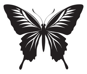 Butterfly silhouette vector, Line art butterfly, Cute butterfly vector