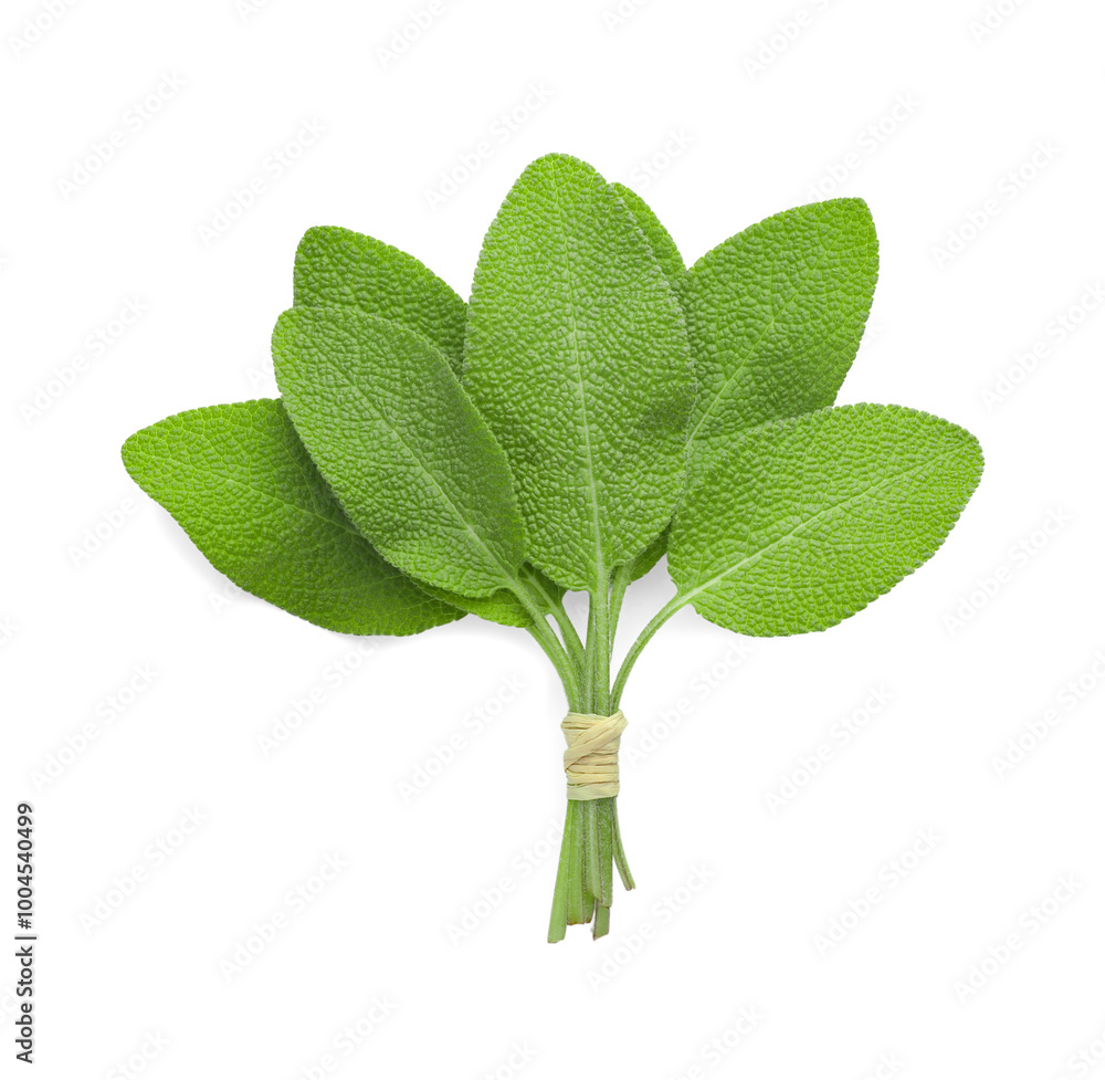 Poster Bunch of green sage leaves isolated on white, top view