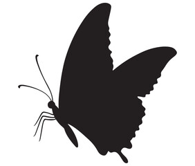 Butterfly silhouette vector, Line art butterfly, Cute butterfly vector