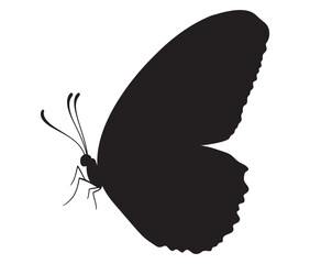Butterfly silhouette vector, Line art butterfly, Cute butterfly vector