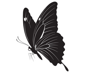 Butterfly silhouette vector, Line art butterfly, Cute butterfly vector
