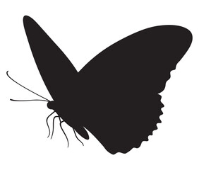 Butterfly silhouette vector, Line art butterfly, Cute butterfly vector
