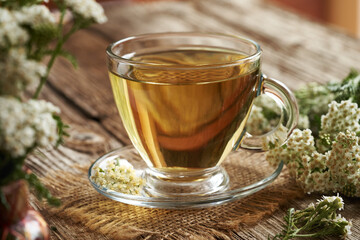 A cup of herbal tea with fresh yarrow or Achillea millefolium flowers