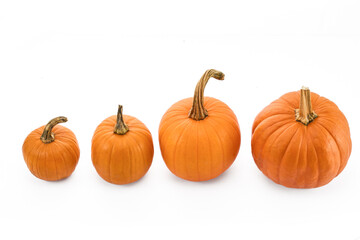 Four orange pumpkins in ascending size order against a white background