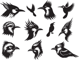 set of a bird silhouette vector image. birds illustration