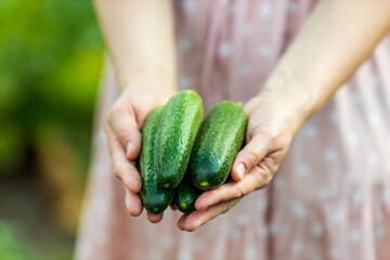 A woman is holding three cucumbers in her hand