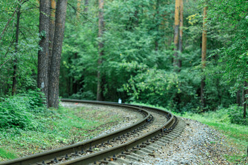 There are railway tracks in the forest