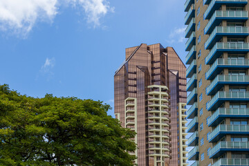 Hotels, condominiums and skyscrapers in the city skyline with lush green trees, blue sky and clouds in downtown Honolulu Hawaii USA