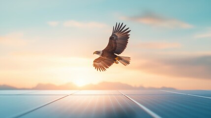 Obraz premium A majestic eagle soaring high above a field of solar panels, its wings catching the sunlight.