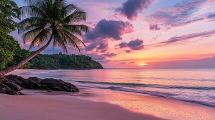 Fototapeta premium Palm tree on tropical beach at sunset. This image is perfect for websites, brochures, or social media posts that promote travel, relaxation, or nature.
