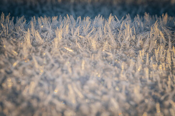 A macro shot capturing the delicate beauty of ice crystals shimmering in the soft glow of sunlight. The intricate structures of the frost glisten with hints of gold and blue, creating a mesmerizing