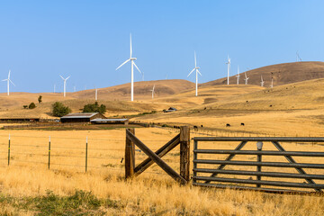 Farm yard with cowa behind barbed wire fence with wind turbine backgound on the hill