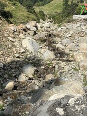  A tranquil scene of smooth pebbles with gentle water flowing over them, surrounded by greenery and trees on a mountain slope.