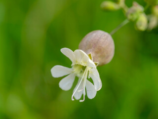 Macro Munilla
