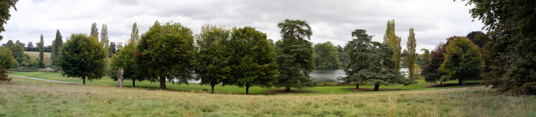 Obraz premium panoramic line of trees