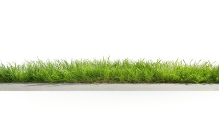 PNG Road through grassfield border plant lawn white background.