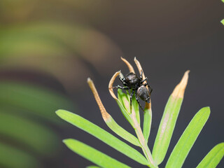 Macro, un mundo por descubrir