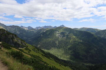 Naklejka premium landscape in summer