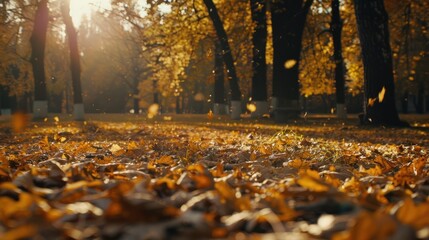 Golden Autumn Leaves