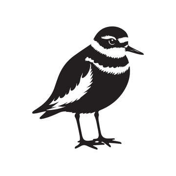 recommend clip art: Minimalist Plovers Silhouette Vector Art – Wildlife Design Collection