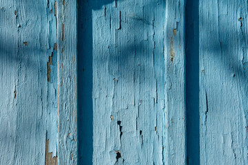 Beautiful textured wooden background with thin vertical planks, with old cracked and faded in the sun soft blue paint, in bright natural sunlight