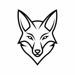 Fototapeta premium coyote