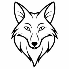 Fototapeta premium coyote