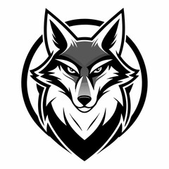 Fototapeta premium coyote