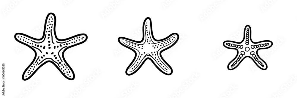 Canvas Prints the starfish sea star contour outline line icon is a thin flat style illustration in black color