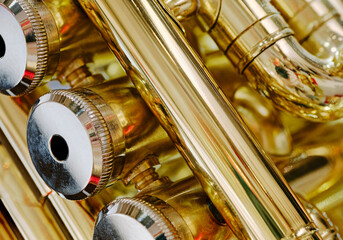 Generic valved brass musical instrument