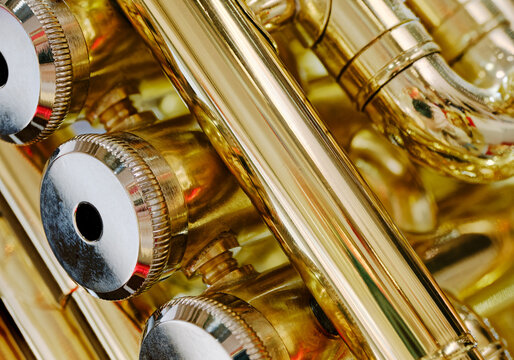 Generic valved brass musical instrument