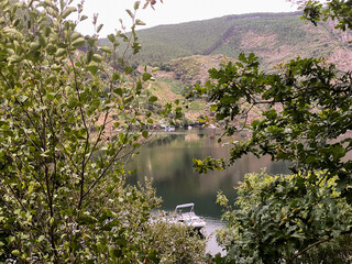 a river with a lot of vegetation and a small boat