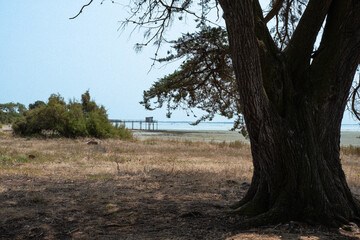 Paysage de l’île d’Aix avec carrelet en arrière-plan