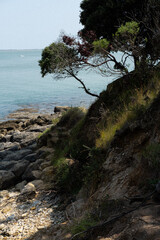 Obraz premium Paysage de l’Ile d’Aix